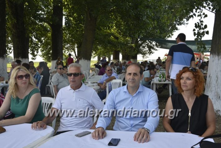 alexandriamou.gr_trikala28.5.2018371